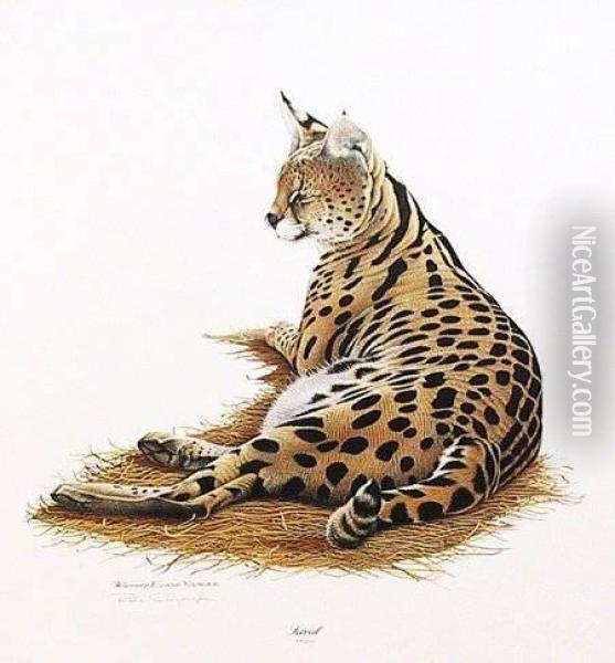 Serval Oil Painting - Richard Evans