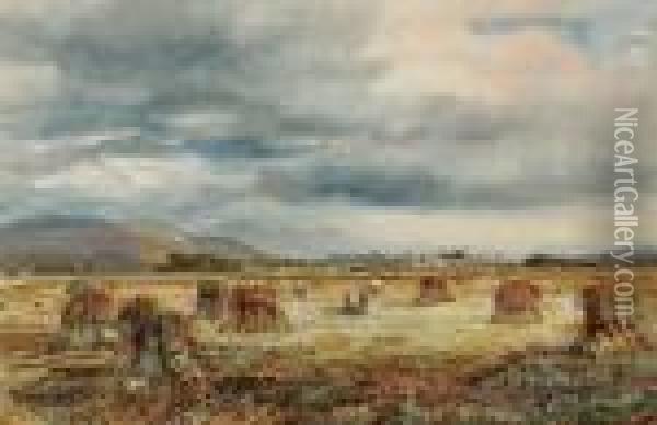 The Harvesters Oil Painting - David Cox