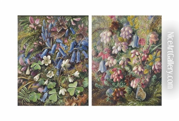 Bluebells And Snowdrops (+ Gorse, Bluebells And A Butterfly; 2 Works) Oil Painting - Albert Durer Lucas