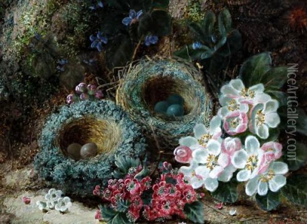 Still Life Of Birds Nest With Eggs And Flowers On A Mossy Bank Oil Painting - Oliver Clare