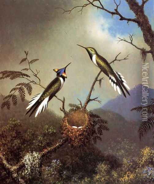 Hummingbirds At Their Nest Sun Gems Oil Painting - Martin Johnson Heade