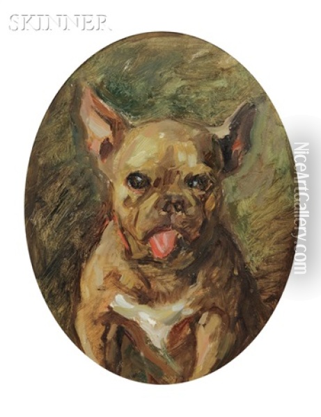 Portrait Of A Boston Terrier Oil Painting - Alphonse Jongers