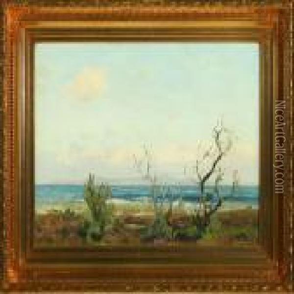 Coastal Scenery Oil Painting - Sigurd Solver Schou
