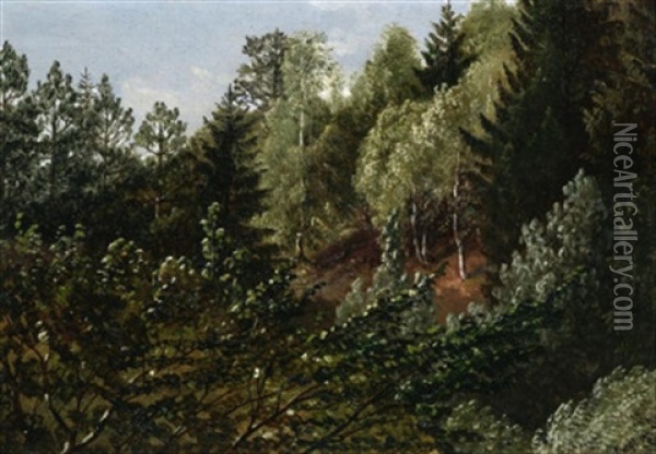 Waldstudie Bei Dresden Oil Painting - Carl Gustav Carus
