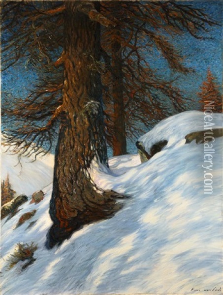 Larchen Am Berghang Oil Painting - Hans am Ende