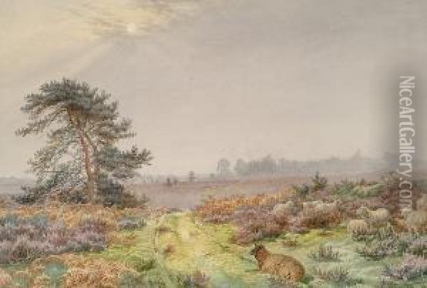 Sheep In A Rural Landscape Oil Painting - James Walsham Baldock