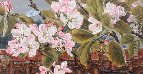 Apple Blossom And Butterfly Oil Painting - Rosa Brett