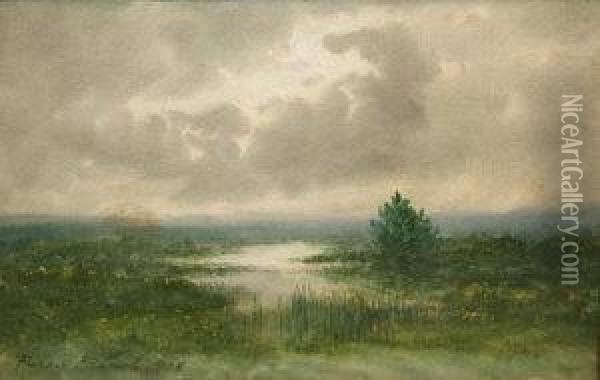 Bog Landscape Oil Painting - William Percy French