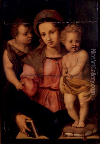 La Vierge, L'enfant Jesus Et Saint Jean-baptiste Oil Painting - Andrea Del Sarto