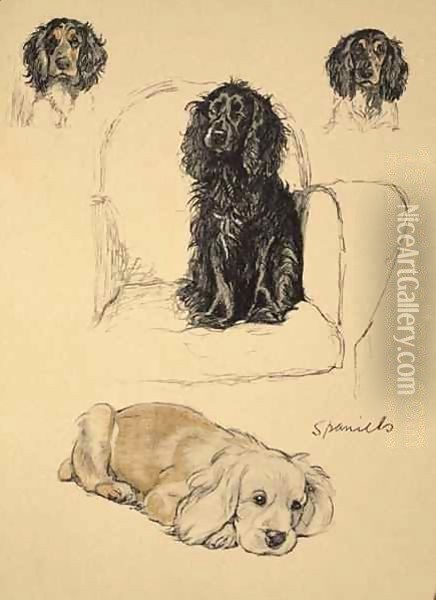 Spaniels Oil Painting - Cecil Charles Aldin