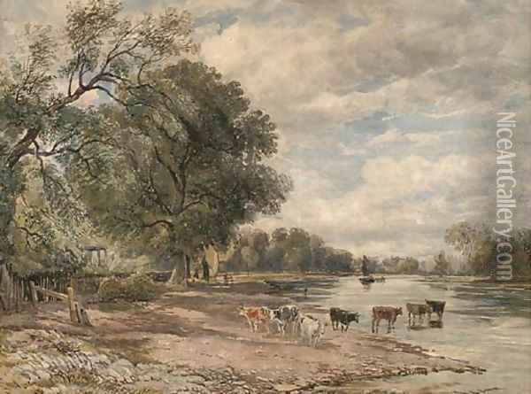 Cattle watering on the Thames at Richmond Oil Painting - David Cox