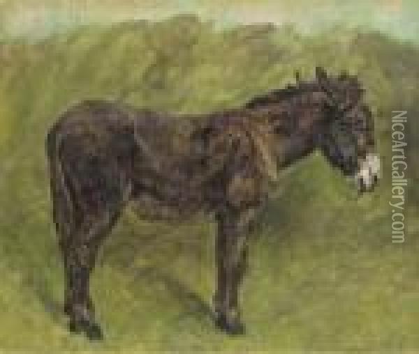A Donkey Oil Painting - John Emms