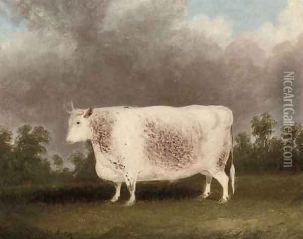A white prize bull Oil Painting - Thomas Weaver