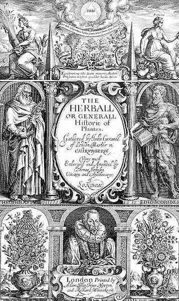 Title page to the second edition of The Herball by John Gerard 1564-1612 1633 Oil Painting - John Payne