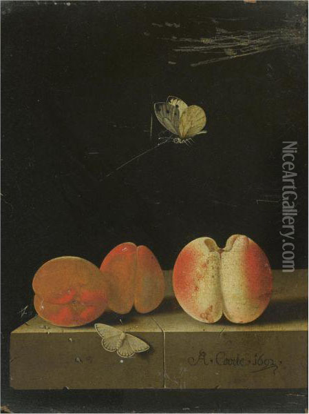 Still Life With A Peach And Two Apricots On A Stone Ledge, Together With Two Butterflies Oil Painting - Adriaen Coorte