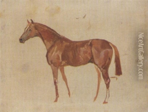 Sketch Of A Horse Oil Painting - James Lynwood Palmer