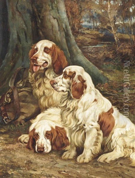 Clumber Spaniels (+ A Portrait Of A Collie By A Boulder, Verso) Oil Painting - Wright Barker