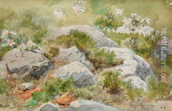 Rochers De Fontainebleau Oil Painting - Rosa Bonheur