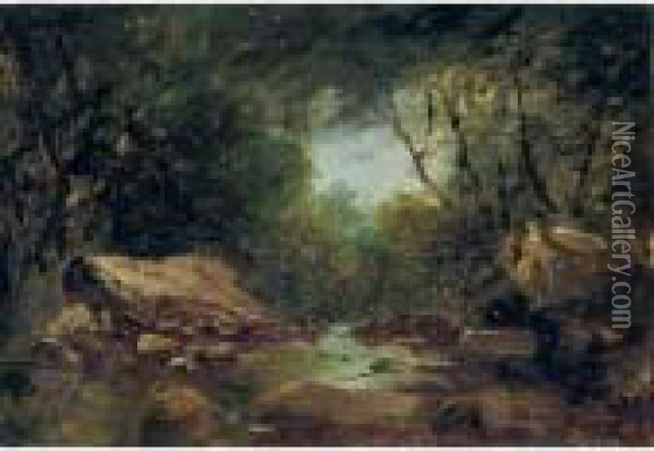 Brook In The Catskills Oil Painting - John Frederick Kensett