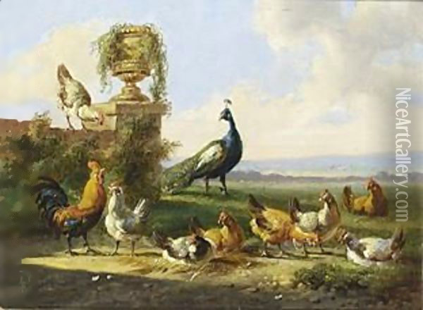 Chicken And A Peacock In A Garden Oil Painting - Albertus Verhoesen