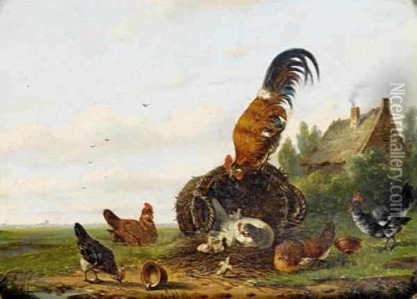 Farmyard Fowl Oil Painting - Franz van Severdonck