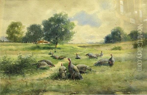A Rafter Of Turkeys In A Field Oil Painting - Reuben Le Grand Johnston
