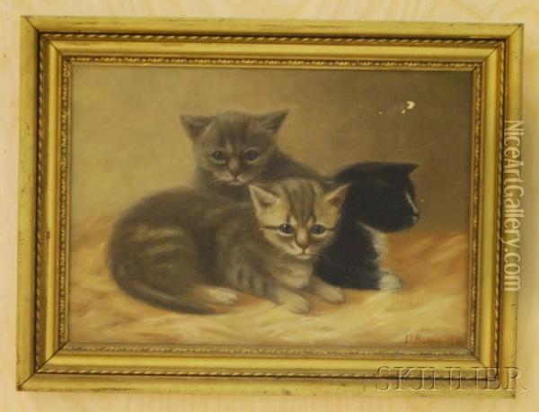 Kittens Oil Painting - Irving Lewis Bacon