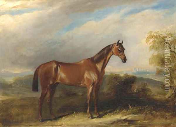 A bay hunter in an extensive landscape Oil Painting - John Jnr. Ferneley