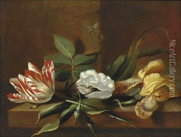Still Life With A Yellow Iris, A Parrot Tulip, A White Rose And Insects On A Wooden Table Ledge Oil Painting - Jacob Marrel