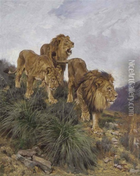 Three Lions Walking Down A Rocky Hillside Oil Painting - Geza Vastagh