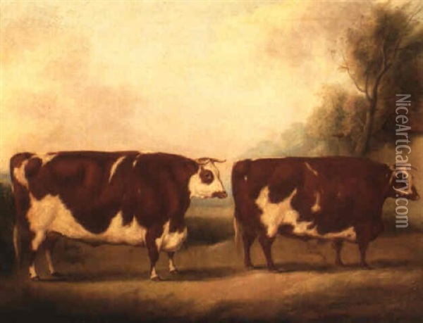 Mr. Richard Stratton's Shorthorn Oxen In A Landscape Oil Painting - William Henry Davis