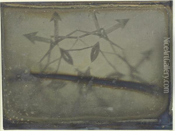 Study Of A Microscope Slide Oil Painting - Henry Draper