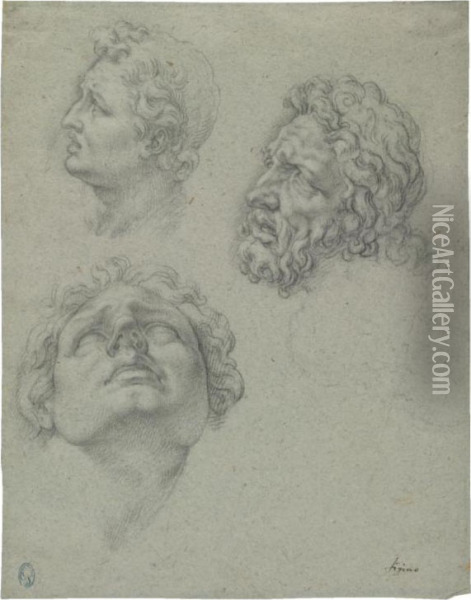 Studies Of Heads After The Laocoon Oil Painting - Ambrogio Giovanni Figino