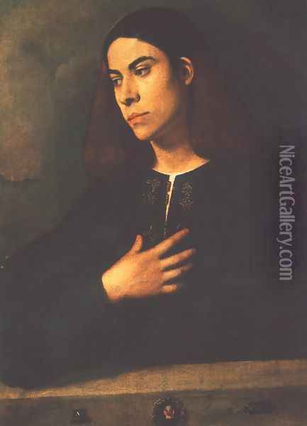 Portrait of a Youth (Antonio Broccardo) 1508-10 Oil Painting - Giorgione