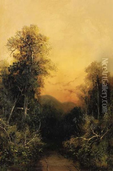 Forest Path Oil Painting - Frederick Ferdinand Schafer