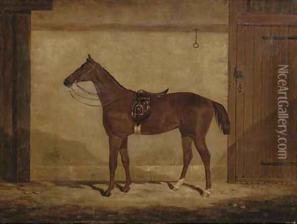 A chestnut hunter in a stable Oil Painting - Samuel Spode