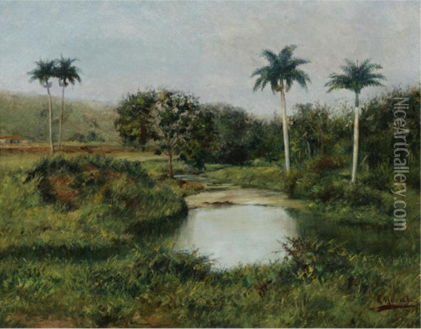 Cuban Landscape Oil Painting - Eduardo Morales
