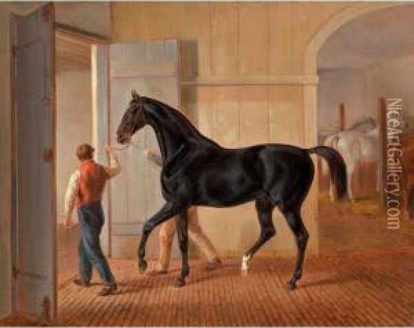 Der Hengst 'logic' (the Stallion 'logic') Oil Painting - Adam Albrecht