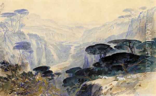 Cedars overlooking the valley, Galilea Oil Painting - Edward Lear