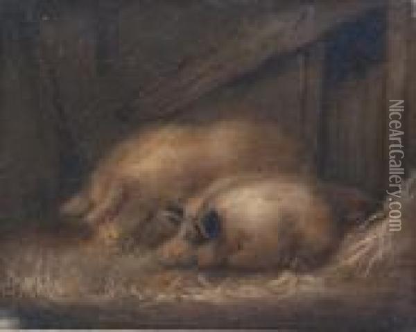Two Pigs In A Stable Oil Painting - George Morland