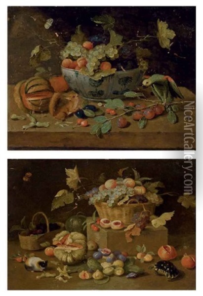 Fruits Dans Un Plat En Delft, Perroquet Et Ecureuil Sur Un Entablement (+ Un Panier De Fruits, Tortue Et Cochon D'inde, Lrgr; 2 Works) Oil Painting - Jan van Kessel the Younger