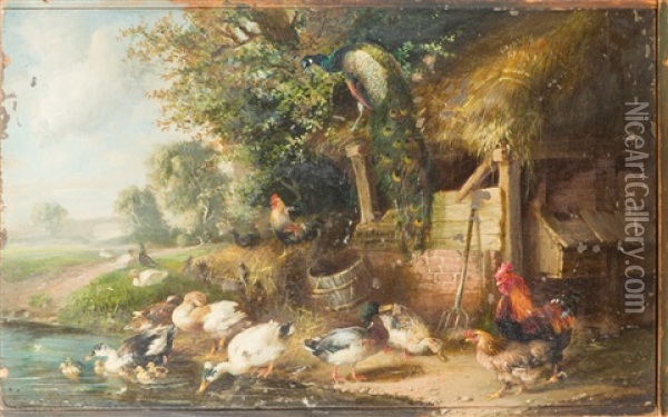 Entenfamilie, Pfau Und Huhner Am Teichufer Oil Painting - Julius Scheuerer