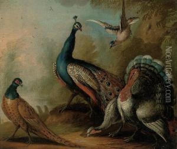 A Peacock, Two Turkeys, A Pheasant, And A Jay In A Landscape Oil Painting - Marmaduke Cradock