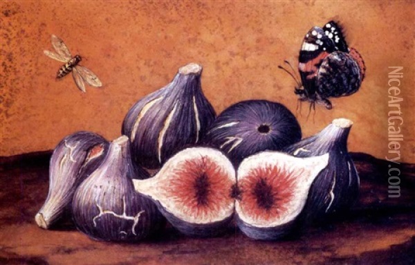 Figs With A Wasp And A Butterfly Hovering Nearby Oil Painting - Giovanna Garzoni