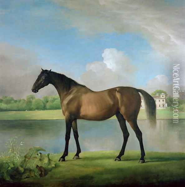 Viscount Bolingbrokes favourite hunter Oil Painting - George Stubbs