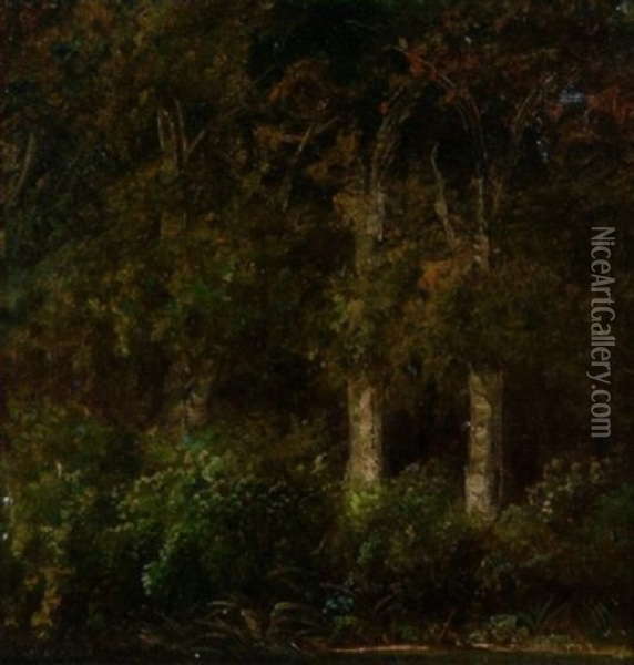 Herbstliche Waldpartie Oil Painting - August Bedrich Piepenhagen
