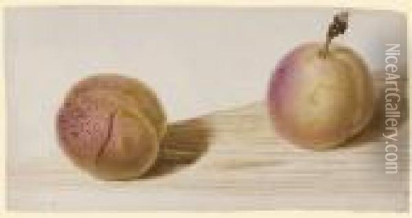 Deux Abricots Oil Painting - Pancrace Bessa