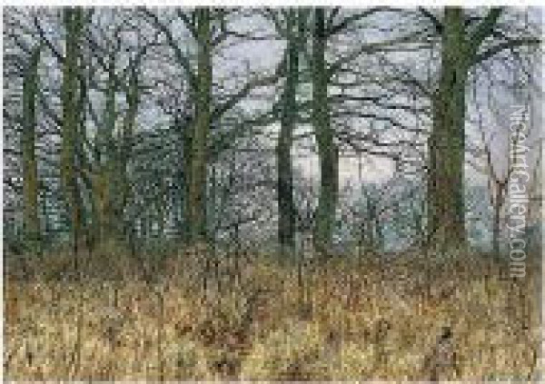 A Wood In February Oil Painting - William Fraser Garden