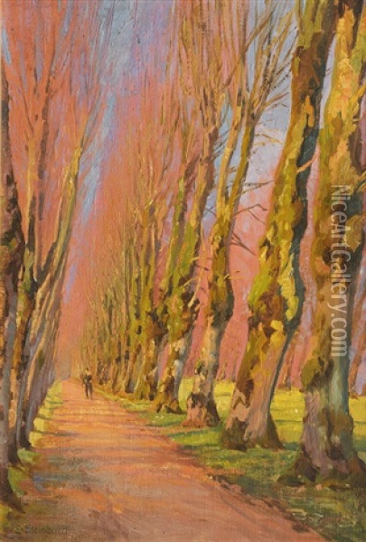 Alley In Early Spring Oil Painting - Eduard Steinbach