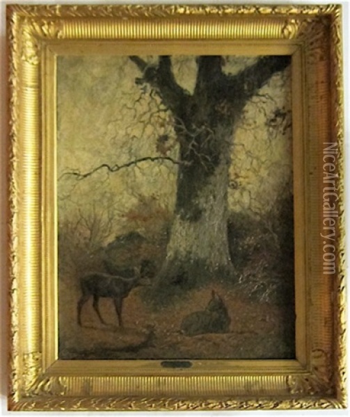 Deer Near The Big Oak, A Barbizon Style Painting Oil Painting - Karl Bodmer
